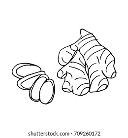 Ginger vector illustration. Doodle style. Design icon, print, logo, poster, symbol, decor, textile, paper, card. 