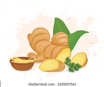 ginger vector illustration with ginger leaves and ginger pieces