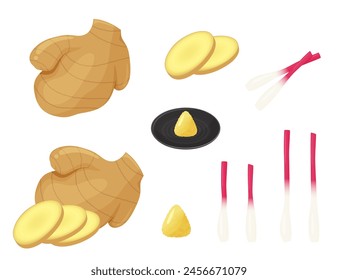 Ginger vector illustration material set