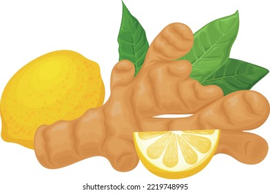 Ginger. Vector image of ginger with lemon and leaves. Medicinal plant in cartoon style. Isolated on a white background