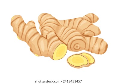 ginger vector. Isolated on white background.	