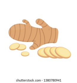 ginger vector. ginger on white background. free space for text. copy space.