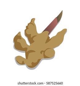ginger vector on white background  