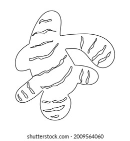 Icono de contorno del vector de jengibre. Raíz de ilustración vectorial en fondo blanco. Icono de ilustración de esquema aislado de jengibre .