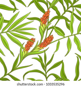 ginger vector pattern