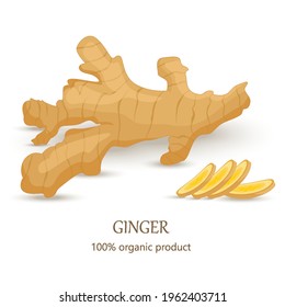 Ginger vector. Whole and sliced ginger root isolated on white background. Illustration in the cartoon style. Cut the close-up.