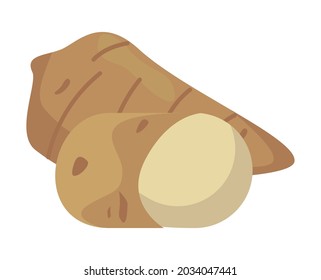 ginger vegetable healthy remedy icon