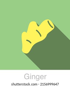 Ginger Vegetables food flat icon  vector illustration