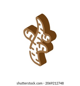ginger vitamin food isometric icon vector. ginger vitamin food sign. isolated symbol illustration