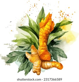 Ginger Watercolor illustration. Hand drawn underwater element design. Artistic vector marine design element. Illustration for greeting cards, printing and other design projects.