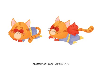 Ginger Whiskered Cat in Red Superhero Cloak Rushing to Rescue and Sleeping Vector Set