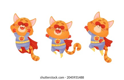 Ginger Whiskered Cat in Red Superhero Cloak Jumping Vector Set