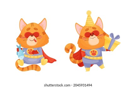 Ginger Whiskered Cat in Red Superhero Cloak Smacking Lips and Holding Gift Box Vector Set
