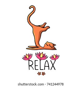 A ginger yoga cat with an inscription decorated with pink lotuses. vector image in the style of children's illustration.