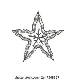 Gingerbread cookies with icing, in shape of star. Graphics illustration. Sweetness for packaging, New Year's compositions, print products, postcard and stickers, Christmas decor.