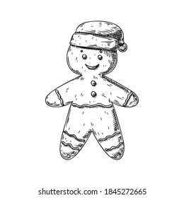 Gingerbread man isolated on white background. Sketch, hand drawn illustration