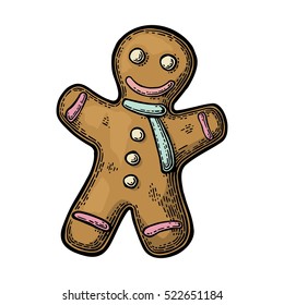 Gingerbread man. Isolated on white background. Vector vintage color engraving illustration.