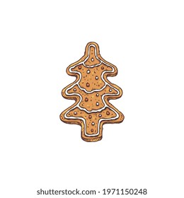 Gingerbread in shape of fir tree hand drawn engraved vector illustration isolated on white background. Traditional Christmas gingerbread cookie with sugar icing.