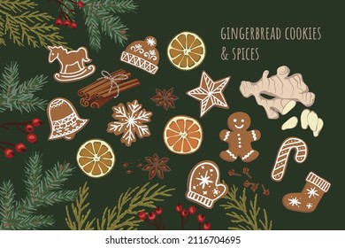 Gingerbread and spices with ginger, cinnamon, star anise, oranges, cloves decorated with Christmas plants, spruce, arborvitae, berries.