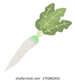 gingerilustración de rábano - versión simple