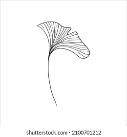 Gingko biloba leaf isolated monochrome hand drawn sketch. Line art floral logo isolated vector drwing.