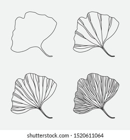 Gingko biloba leaf. Set of simple icons. Line design, editable strokes. Vector illustration, EPS 10