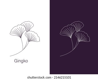 Gingko Biloba leaves and branch Nature botanical vector engraving illustration
