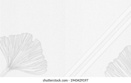 gingko biloba shadow vector background