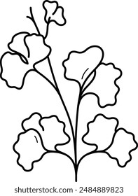 Gingko. Healing herbs. Vector outline illustration. 