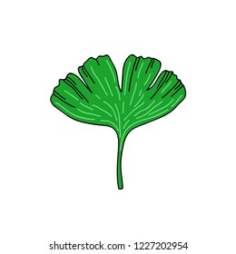 gingko leaf doodle icon