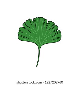 gingko leaf doodle icon