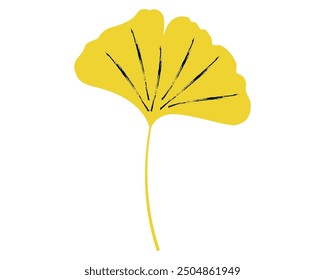 Gingko leaf isolated on white background