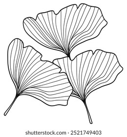 Gingko deixa desenhado à mão tinta linha arte design vetor ilustração