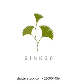 Gingko vector design illustration.