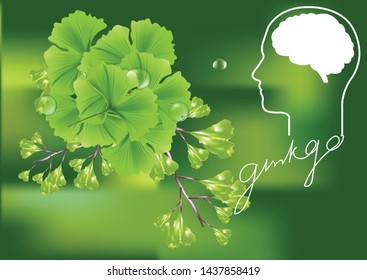 ginkgo backgroud vector is green