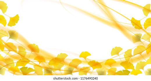 Ginkgo biloba Autumn leaves autumn background