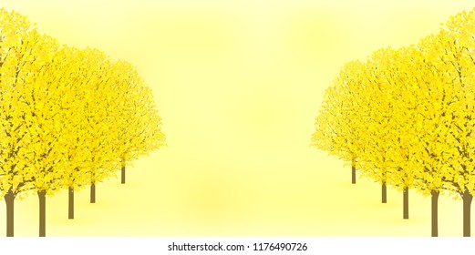 Ginkgo biloba Autumn leaves autumn background