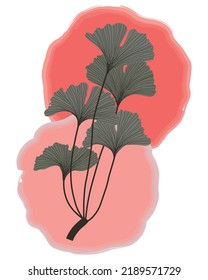 Ginkgo biloba branch with 5 leaves. Ginkgo branch on watercolor color spots. Thin leaves of ginkgo biloba.