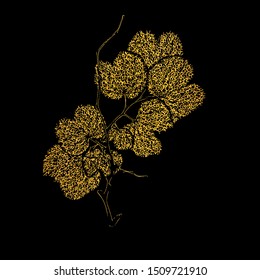 Ginkgo biloba branch with leaves in gold overlay