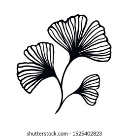 Ginkgo biloba branch with leaves hand drawn contour line. Vector Floral art in a Trendy Minimalist Style. For the design of Logos, Invitations, posters, Postcards, prints on t-Shirts.