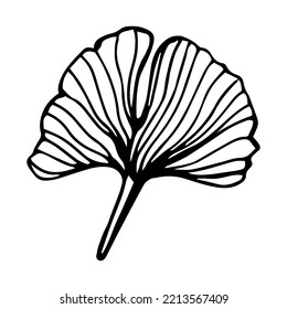 Ginkgo biloba branch with leaves hand drawn contour line. Vector Floral art in a Trendy Minimalist Style. 