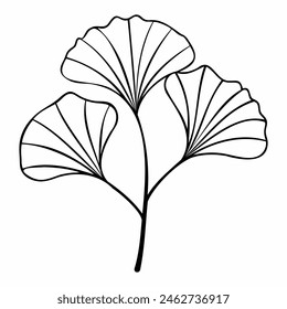 Ginkgo biloba branch with leaves hand drawn contour line. Minimalist Style. For design of logo, invitation, posters, postcard, prints on t-Shirts.