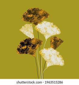 Ginkgo Biloba branch  leaves vector illustration. Isolated Japanese foliage. Autumn grunge hand painted sketch. Herbal background for health, medicine, spa, wallpaper design.