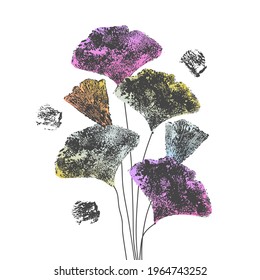 Ginkgo Biloba branch  leaves vector illustration. Isolated Japanese foliage. Autumn grunge hand painted sketch. Herbal background for health, medicine, spa, wallpaper design.