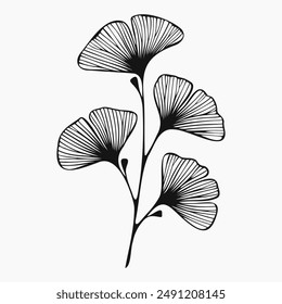 Ginkgo biloba branch, line art isolated on white background. Hand drawn exotic floral element for invitation, greeting card, poster.