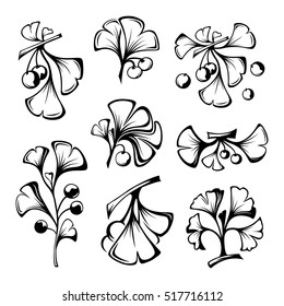 Ginkgo biloba branches with leaves and fruits. Cosmetics and medical plant icons set. Vector illustration in line graphic style.