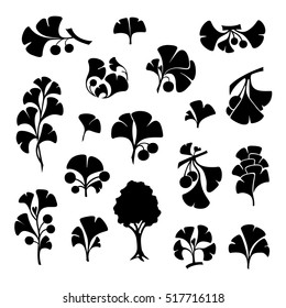 Ginkgo biloba branches with leaves and fruits. Cosmetics and medical plant icons set. Vector illustration in graphic style.