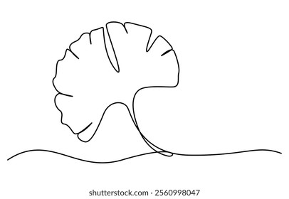 Ginkgo biloba Continuous one line drawing. Abstract botany minimalist poster, Ginkgo flower continuous single line drawing vector illustration, Ginkgo Leaf Continuous Line Drawing 