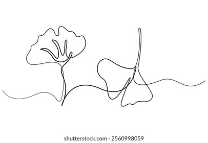 Ginkgo biloba Continuous one line drawing. Abstract botany minimalist poster, Ginkgo flower continuous single line drawing vector illustration, Ginkgo Leaf Continuous Line Drawing 