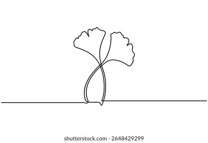 Ginkgo biloba Desenho contínuo de uma linha. Cartaz minimalista de botânica abstrata, Flor de ginkgo, Ginkgo biloba fresco folha verde desenho contínuo uma linha, Ginkgo biloba.